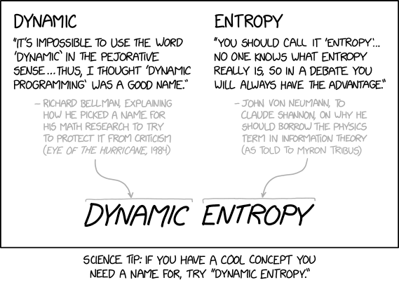 Dynamic Entropy