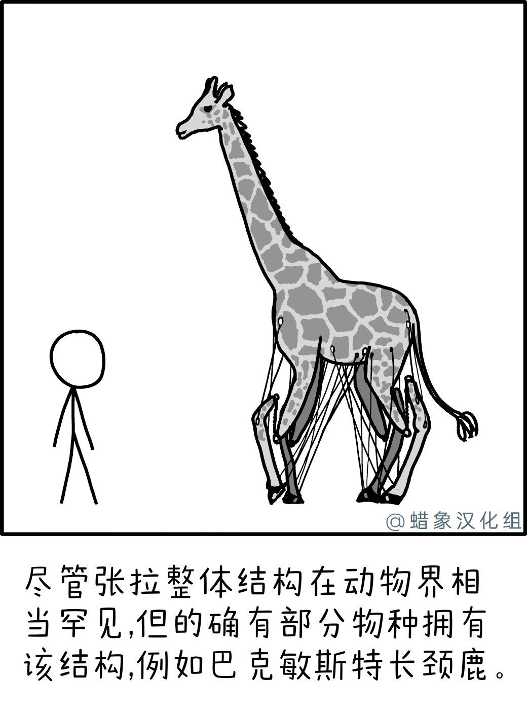 张拉整体结构 张拉整体结构