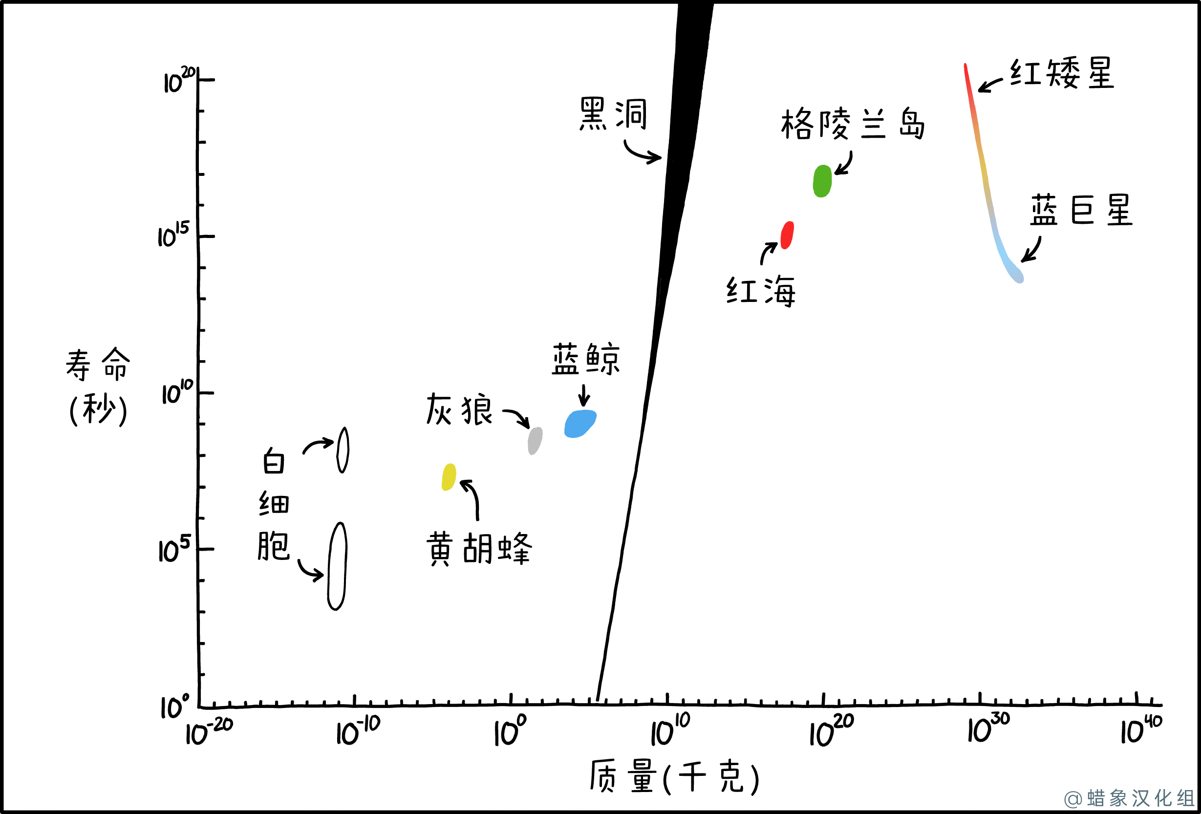 质量与寿命 质量与寿命
