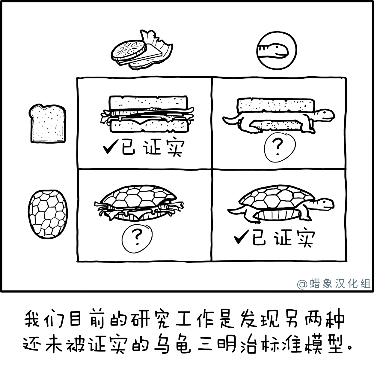 乌龟三明治标准模型